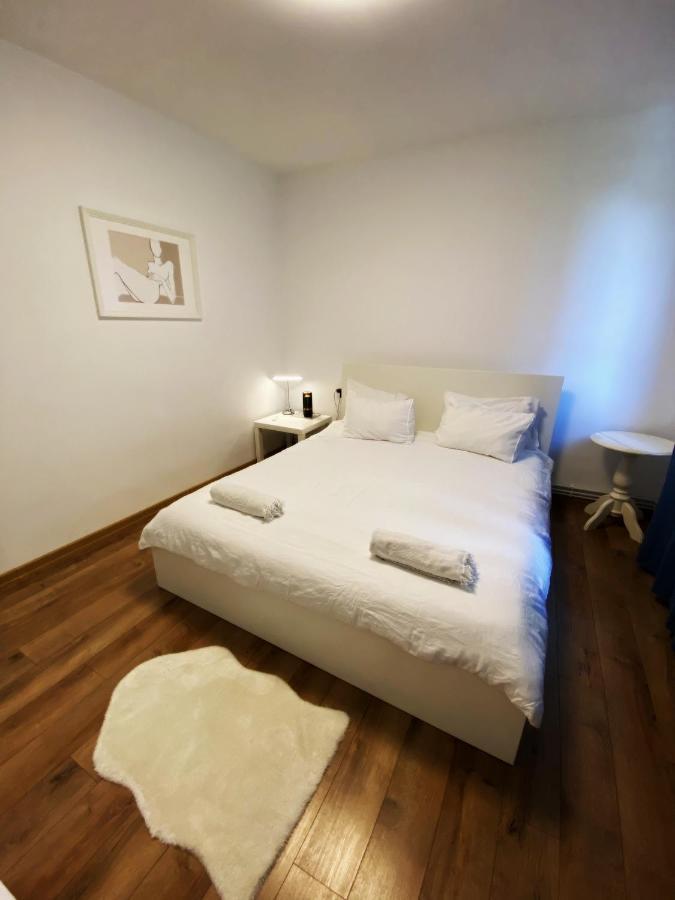 Peles Green Apartment & Piano คลูจ-นาโปกา ภายนอก รูปภาพ