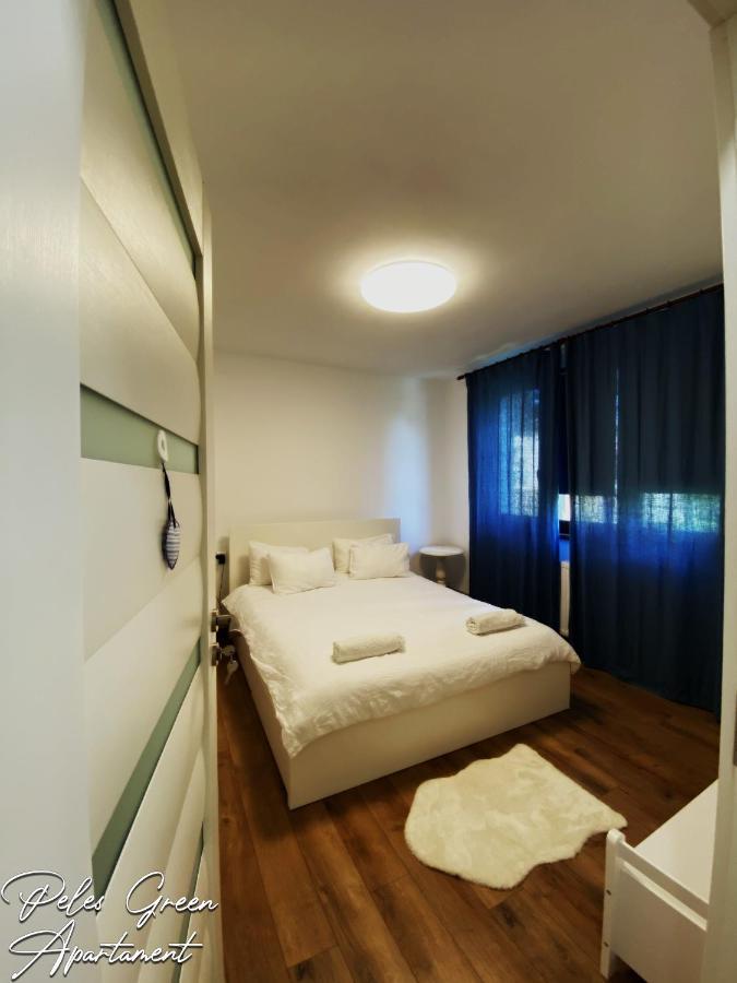 Peles Green Apartment & Piano คลูจ-นาโปกา ภายนอก รูปภาพ